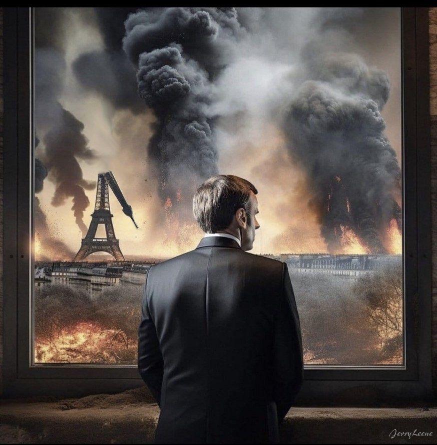 投稿の添付画像