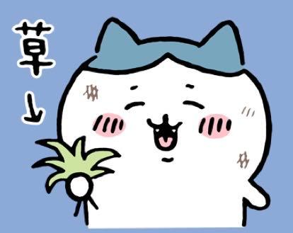 投稿の添付画像