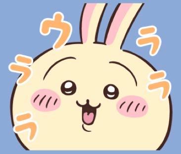 投稿の添付画像