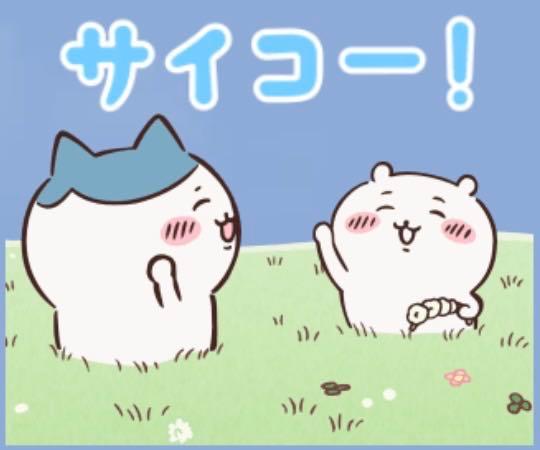 投稿の添付画像