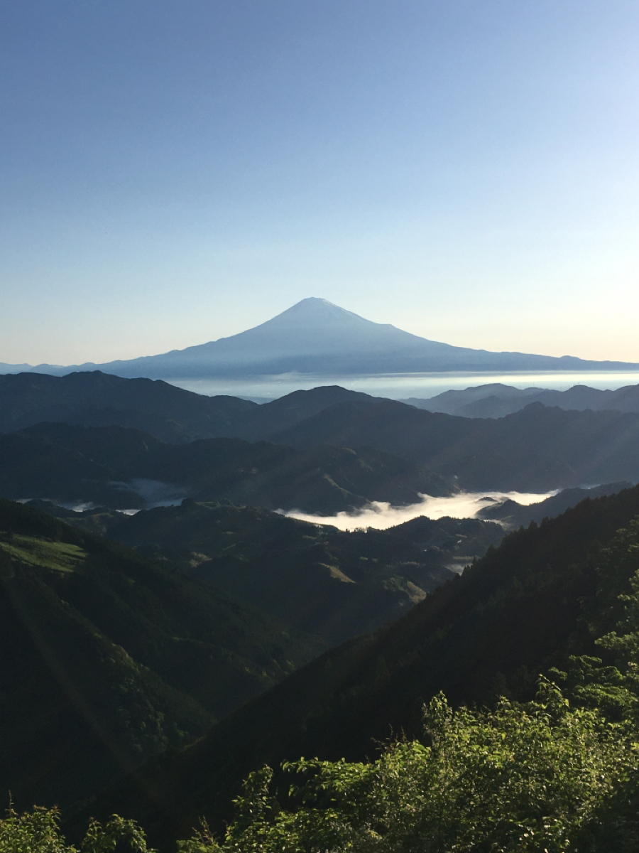 投稿の添付画像