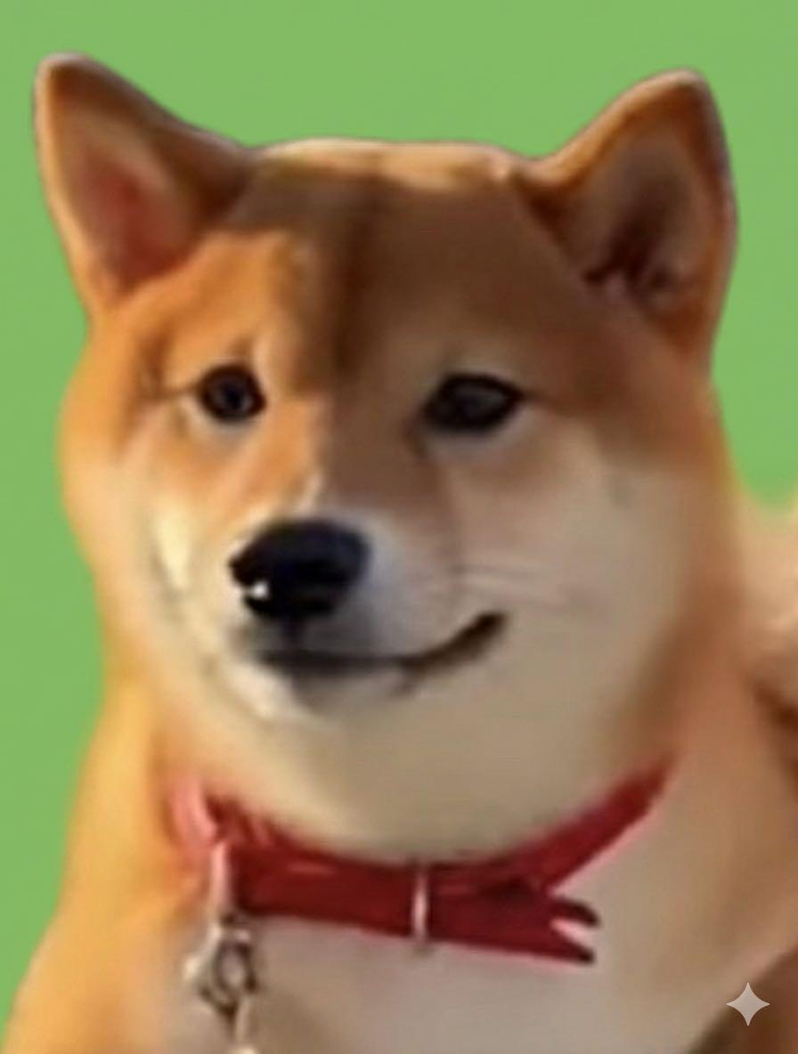 投稿の添付画像