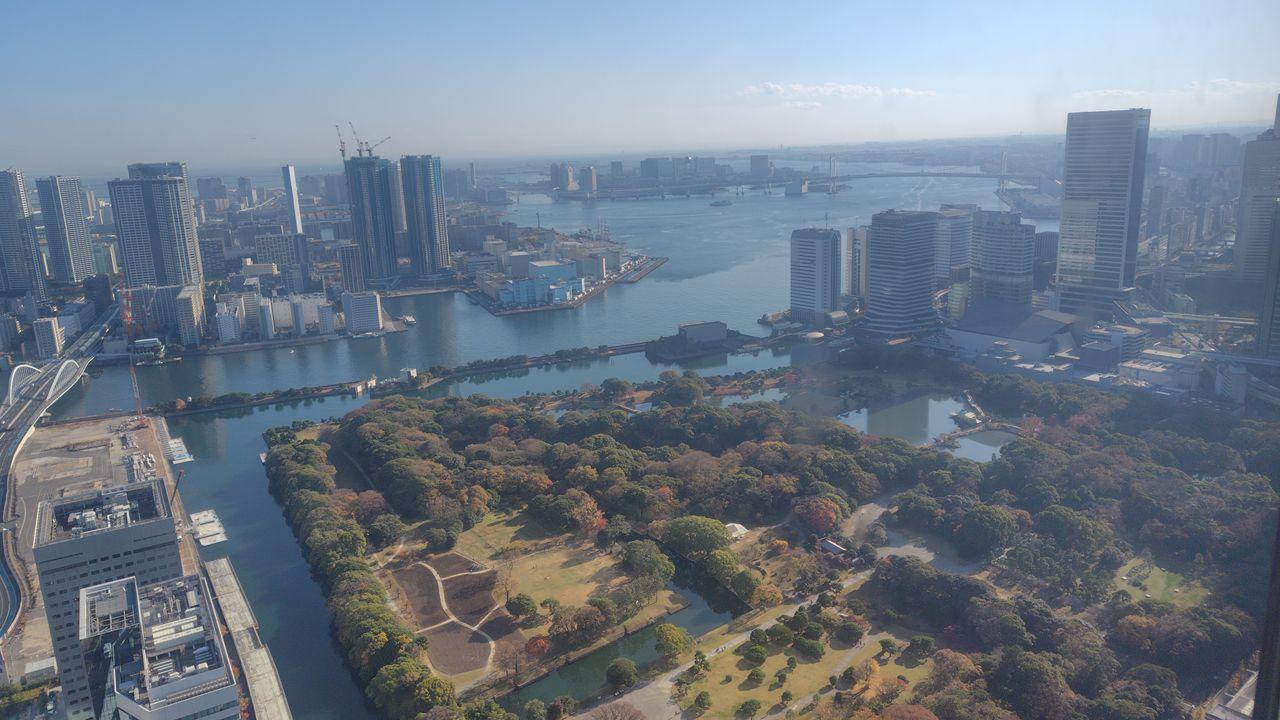 投稿の添付画像