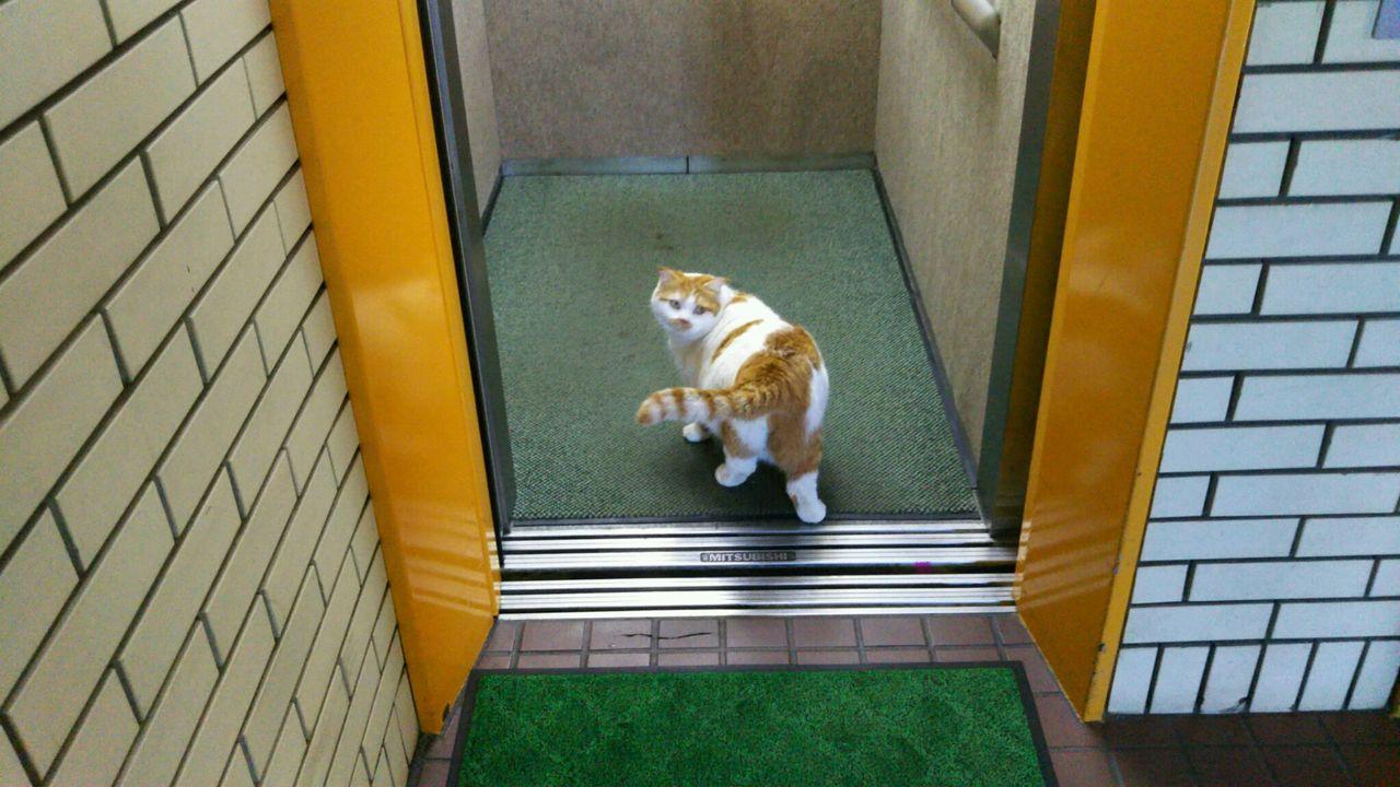 投稿の添付画像