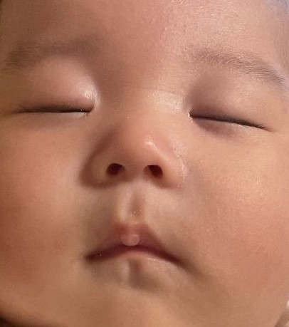 投稿の添付画像