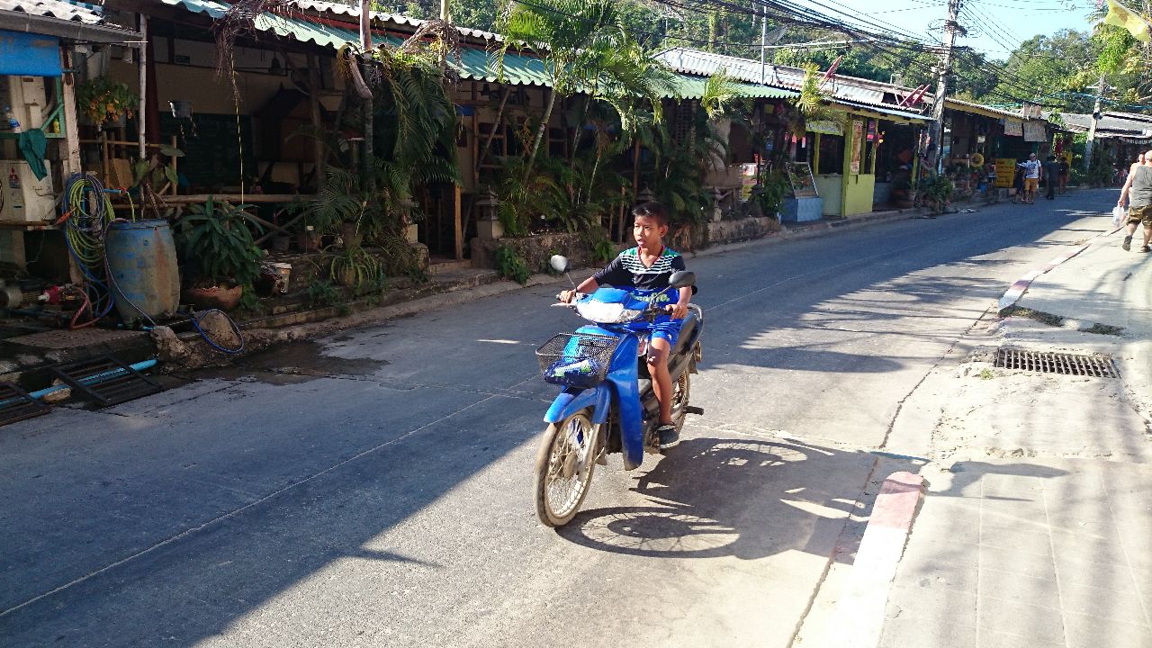 投稿の添付画像