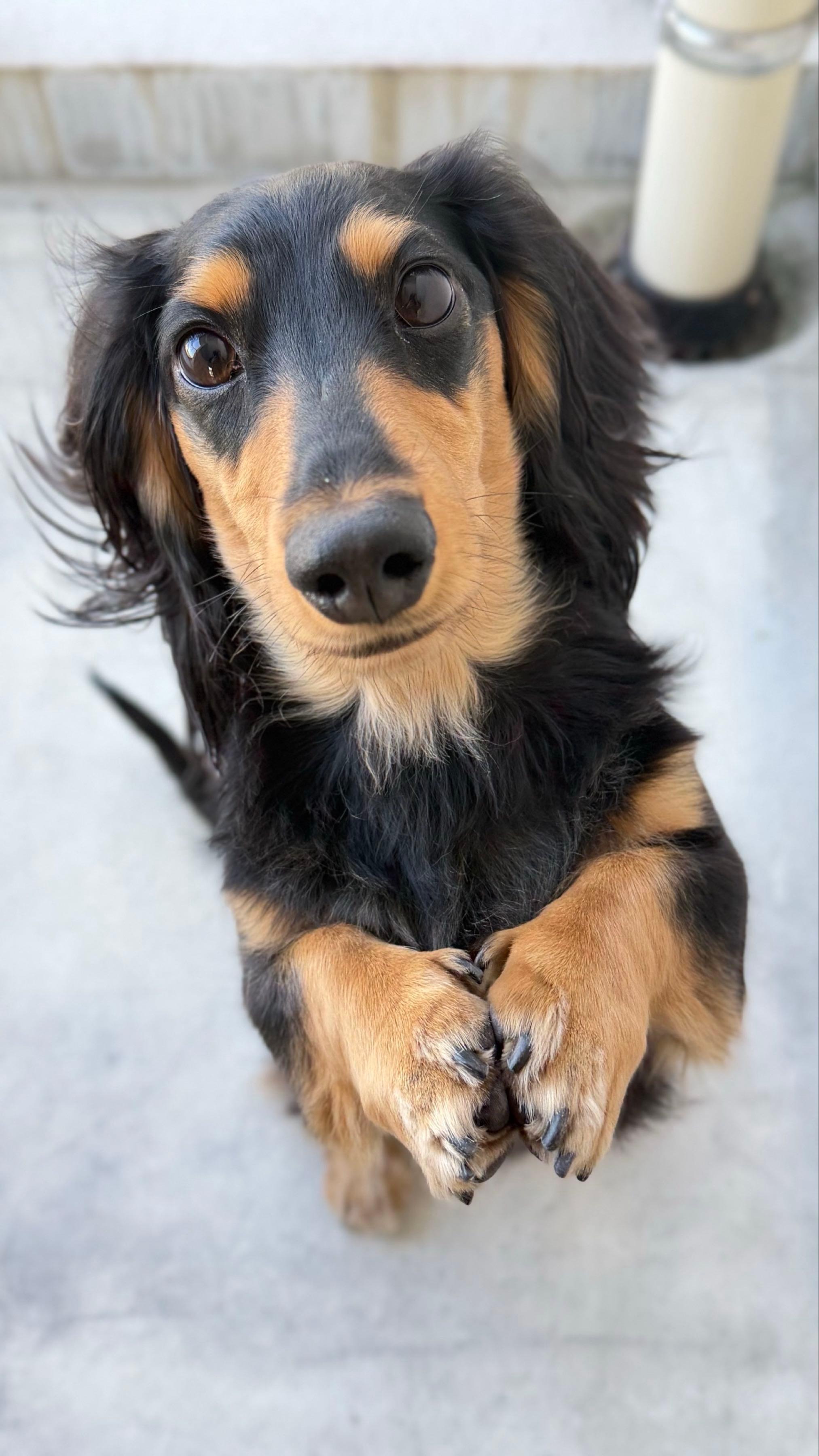 投稿の添付画像