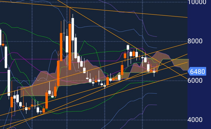投稿の添付画像