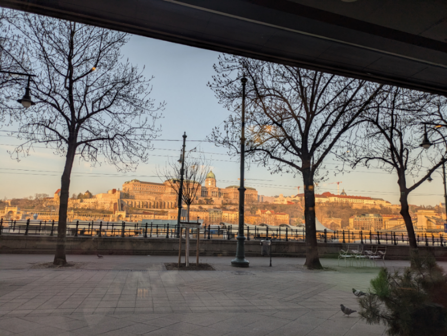 投稿の添付画像