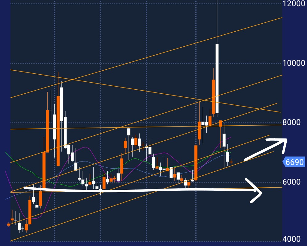 投稿の添付画像