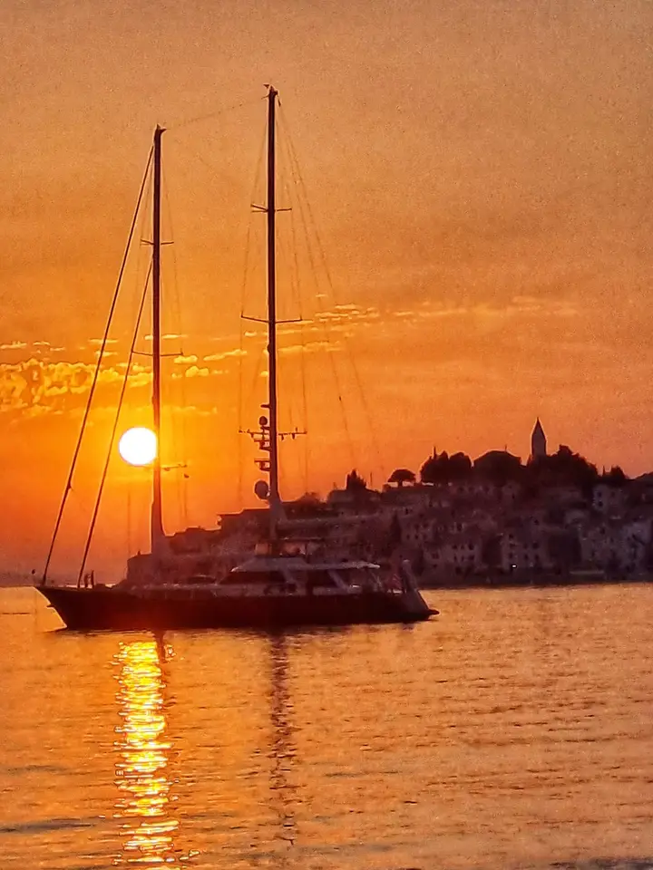 投稿の添付画像