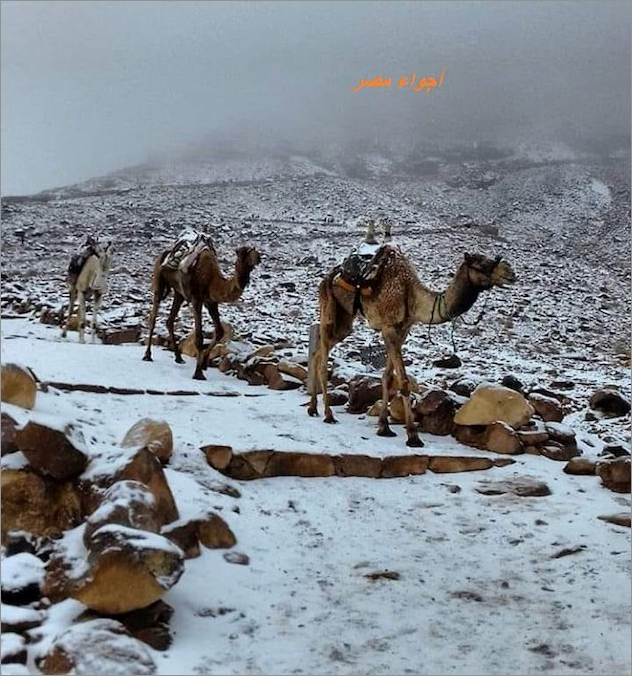 No サウジアラビアの砂漠に連日の雪 9519 株 レノバ 19 01 25 19 03 01 株式掲示板 Yahoo ファイナンス掲示板