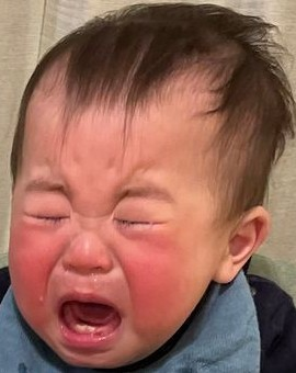 投稿の添付画像