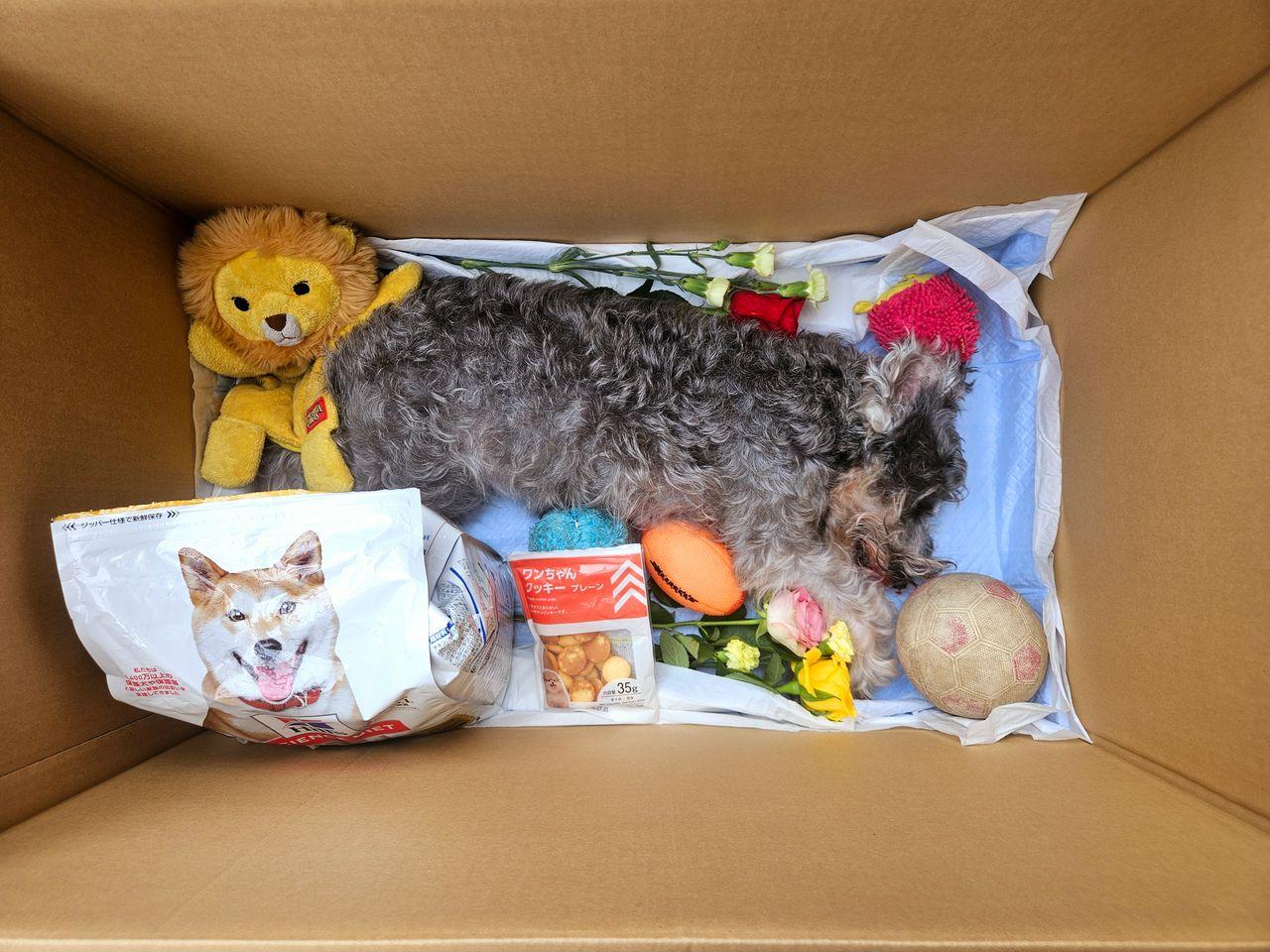 投稿の添付画像