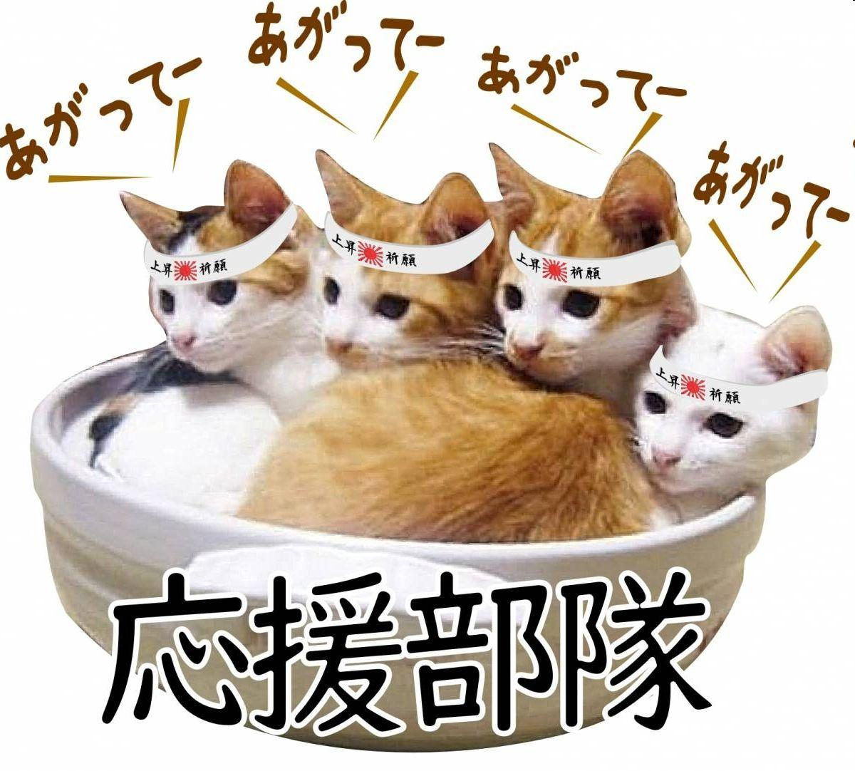 投稿の添付画像