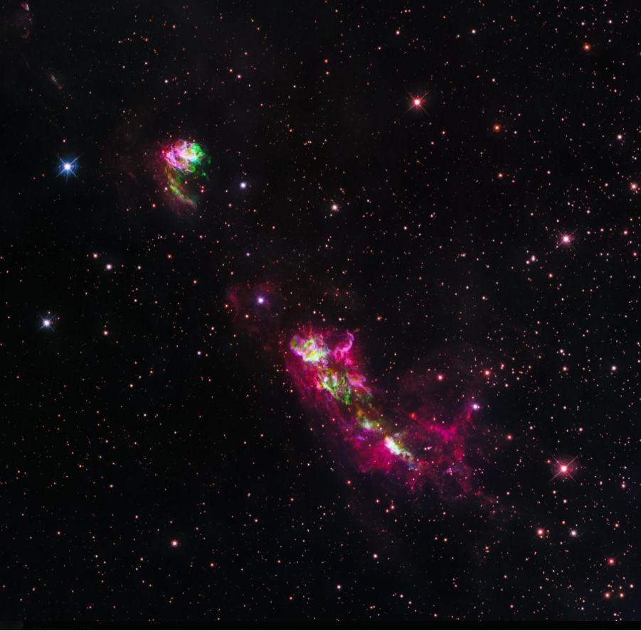 投稿の添付画像