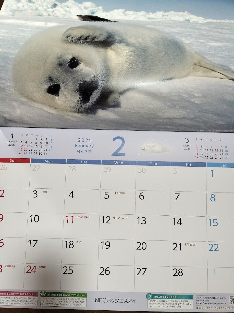 投稿の添付画像