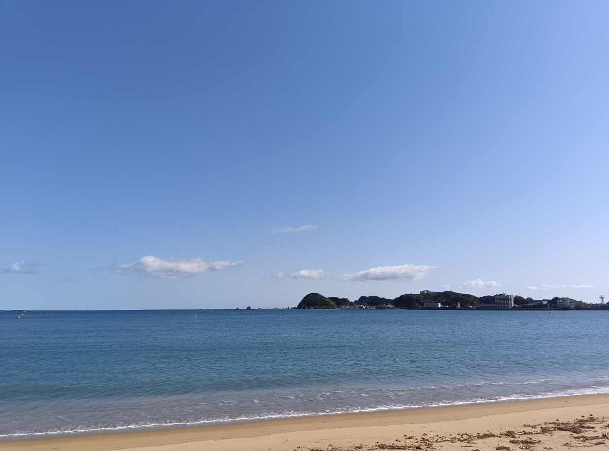 投稿の添付画像