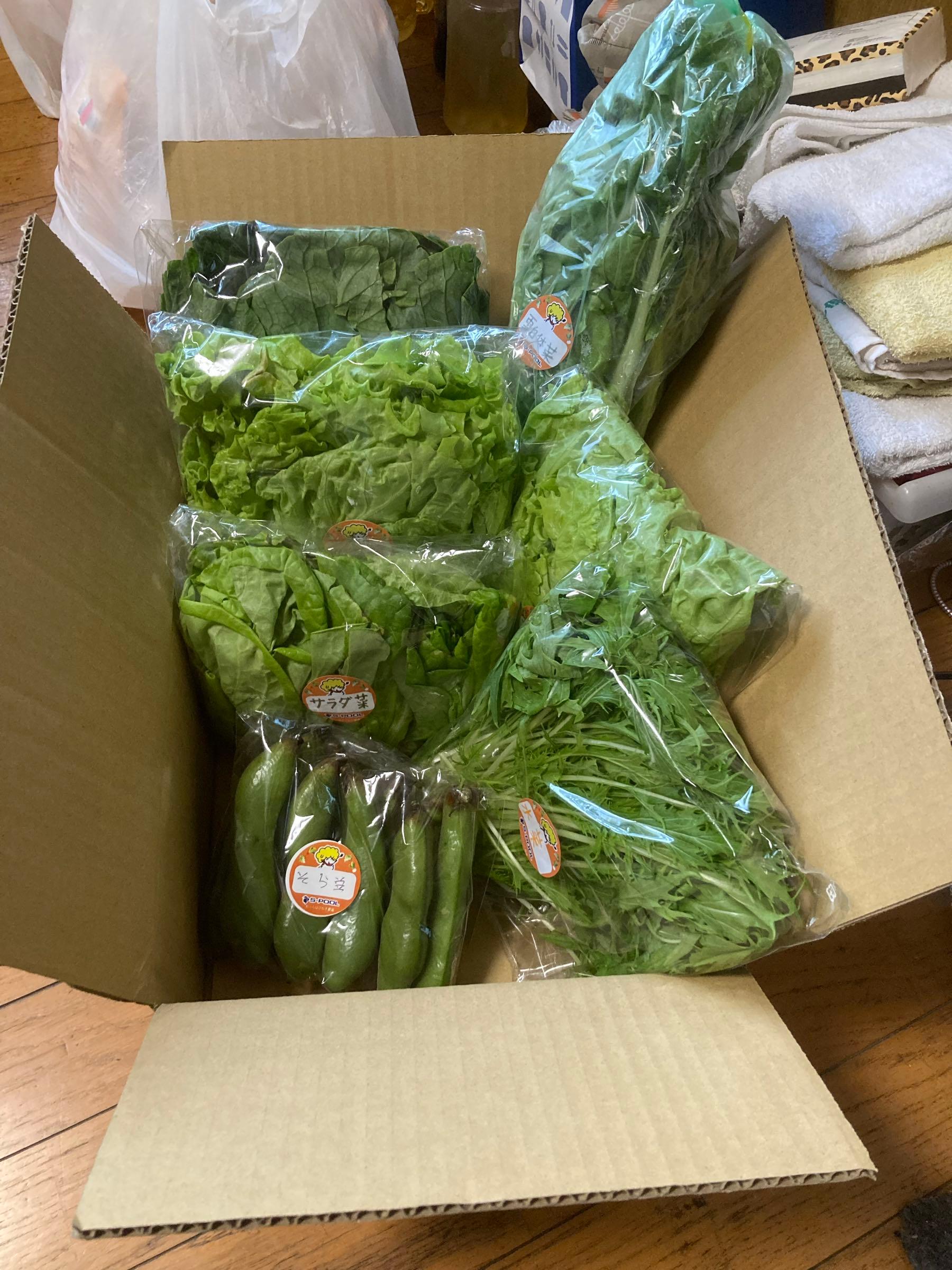 投稿の添付画像