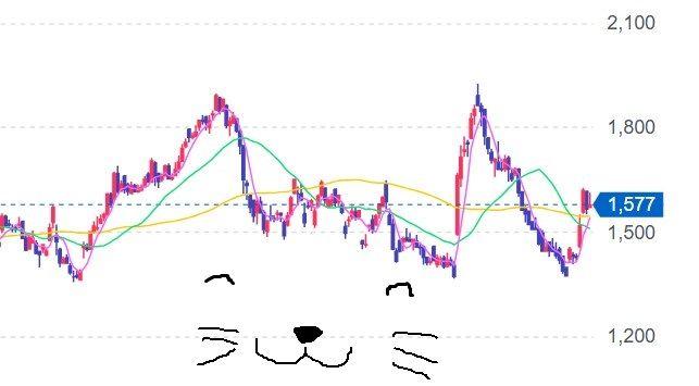 投稿の添付画像