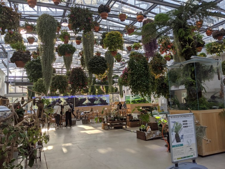 投稿の添付画像