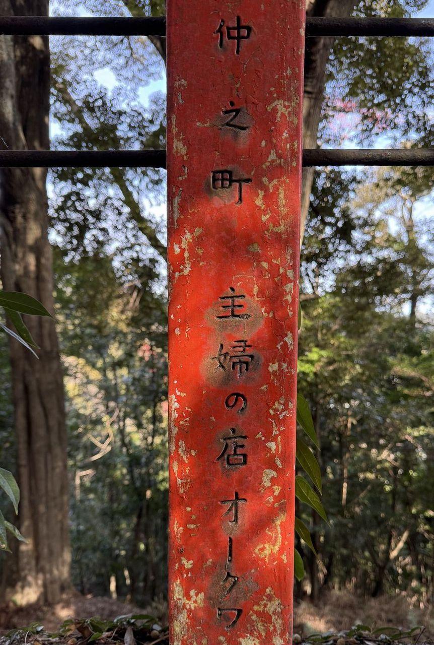 投稿の添付画像