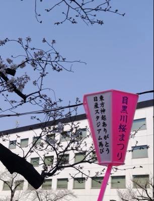 (株)SM ENTERTAINMENT JAPAN【4772】 テレビでは目黒川や上野公園のお花見ニュースばかり。目黒川ではSMジャパン所属アーティストのファンがボンボリ出してる(笑)