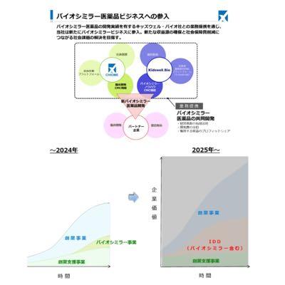 (株)カイオム・バイオサイエンス【4583】 ご指摘ありがとうございますm(__)m 売上高は創薬事業も均したものですが、創薬支援事業については下落傾向ですね🤔 (3Q前年同期比52百万円減) ぜひ成長戦略イメージにある通りIDD(バイオシミラー含む)で上乗せを図ってもらいたいものです。 2025.02の小池新体制から、 ・OmniAb, Inc. との共同研究契約 ・エスアールディとの開発業務提携契約 ・持田製薬株式会社との委受託基本契約 *Mycenax並びにキッズウェルと新規バイオシ ミラーの開発に関する業務契約 ・日東紡績株式会社との業務委託契約 ・メルク株式会社との業務提携範囲拡大 ・NANO MRNAとのmRNA抗体の研究契約 *アルフレッサ並びにキッズウェルとのバイオシ ミラー開発の契約 ・Axcelead Drug DiscoveryとのIDD ビジネスに関する業務提携 *バイオ後続品の原薬・製剤製造を行う合弁会社設立 ・エーザイ株式会社との共同研究の延長 と、IDD(バイオシミラー含む)の拡大に向けた動きが多く、実績は今後に期待するしかないですが動向はイメージ図を地でいっていると伺えます(特に日東紡などの新規は お付き合いの延長線ではないと推察します)。 アメリカの発展している潮流に倣い、他社との知識や技術共有によるコスト低減、スピード向上で日本の創薬の発展を目指す。これは大言壮語に聞こえなくもないですが、技術的なオープンイノベーションは他製薬企業のHPをみても以外と多く見受けられ、もしかしたらIDDは潜在的な賛同者も想定より多く、拡大する可能性は十分あるとも思います。 DoppeLib、Tribody等の次世代技術の強力な武器化を含めて成功を祈りつつ長い目で待ちたいと思います。