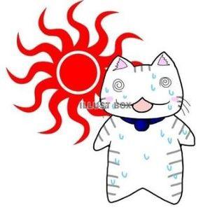 新宿猫丸正・オラオラオラ！！！ 関東以西は クソ暑い～ 🌞🌞🌞