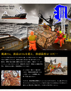 (株)ビジョナリーホールディングス【9263】 > なんでみなさんはビジョナリーに投資するのですか？  > 何がみなさんを惹き付けているのか…わからないです。  ベーリング海に行くチャンスを作るためです❗