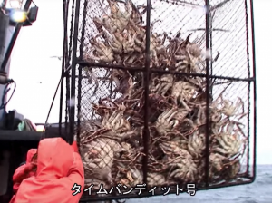 (株)ビジョナリーホールディングス【9263】 蟹獲って 含み損の 埋め合わせ