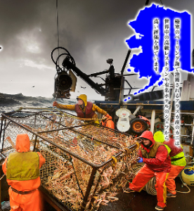 (株)ビジョナリーホールディングス【9263】 決算を 跨げばショック アラスカへ