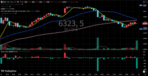 ローツェ(株)【6323】 今日の5分足  結局、高値掴まされただけの相場に 3,000円の上が更に重くなっただけ  昨日に引き続き出来高少ない中、 13:50と大引けの売り圧が圧倒 本気のショートカバー来るまでは戻り売りに押されそう