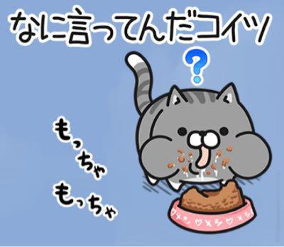 トルコ リラ / 日本 円【tryjpy】 ？