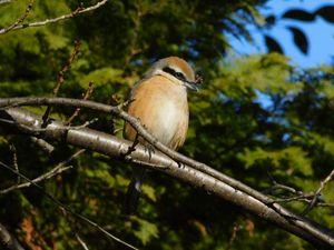 (株)ライオン事務器【423A】 元の社風を残した後輩諸氏の新たな発想、事業開発を陰ながら、応援しています。