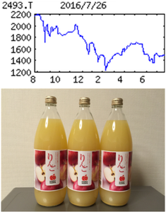 イーサポートリンク(株)【2493】 【　10年前（2016年)　】  優待到着(11月末日 5月末日)　「イーサポート」　青森県産りんごジュース    （2016年)　イーサポートリンク [2493]　 生鮮青果物業界向けシステム開発。イオングループ向けを一手に受託。子会社で農業支援事業 「・・・ 【減益幅縮小】輸入青果物の受託業務は減少続き採算も悪化。ただ利益源のシステム事業がイオン、ダイエー向けＭＤシステム軸に尻上がり拡大。新システムの償却増吸収し減益幅縮小。初配来期にずれ込みも。 【潜在顧客開拓】ＴＰＰ締結を控え、新規参入の農業生産法人など新規顧客開拓が当面の課題。海外事業部（15年12月設置）軸に東南アの青果物物流業者開拓にも注力。