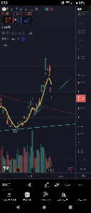 ライオット・プラットフォームズ【RIOT】 恐るべしボラ