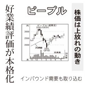 ピープル(株)【7865】 【　10年前（2016年)　】 ～ 2016   ー。