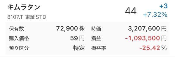 (株)キムラタン【8107】 さて、シートベルト買ってくるかのう。