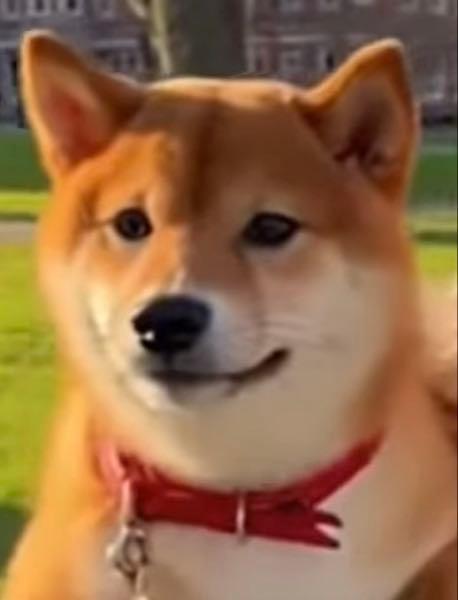 ＮＥＣ【6701】 💥　 最近のアナリスト予想          アナリストの平均目標株価は6,458円で、 　　株価はあと10.67%上昇すると予想‼️   🌈