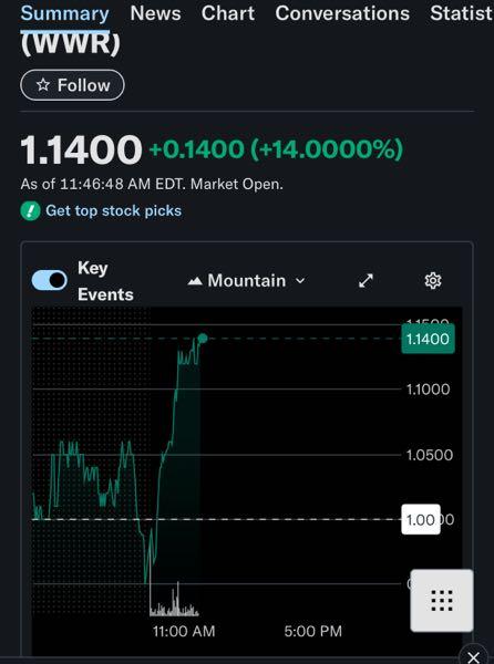 ウェストウォーター・リソーシズ【WWR】 1.14🚀 go go🚀🚀