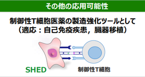 キッズウェル・バイオ(株)【4584】 普段、煽らないんですけど、T細胞の件は、ちょい煽り気味に書いちゃいましたw もしかしたら… 万が一… いや、億が一くらいかもしれないが、あり得るかも!?😲 と、「あったらラッキー」くらいでw マジにこのタイミングで阪大と提携できたら、物凄いサプライズなんですけどねぇ…🤔 まあ、そんな都合の良いコトは起こらないでしょうが😅