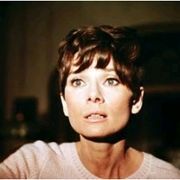 「暗くなるまで、待って」