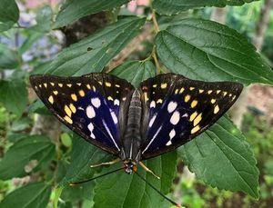 フィデアホールディングス(株)【8713】 配当権利を取得する前に売られる 配当より差取による利益確定を選ばれる株主が いるのですね 蜘蛛の糸からも抜け出し荘内から仙台にこの先どちらの選択が 良かったのか(本日1998円で購入された株主さんに栄光有れ!)