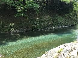 (株)ベリテ【9904】 リバルにはまだまだ なだそうそう いまから一喜一鬱するよりも 夏相場に乗ったほうがよい。1518は如何でしょう。