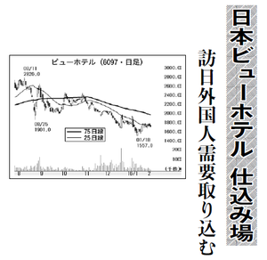 日本ビューホテル(株)【6097】 【　10年前（2016年)　】 ～ 2016  ー。