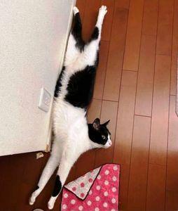 サロンくつろぎ こんばんは(^^)  今日も晴れです。  最高気温35度 最低気温26度 でした。  今日も暑かったね 雲が多かったのに 雨が降らず暑すぎだよ😞  各地で日照りが続いてます 台風がまともに来ないと ダムの水が干上がるよ  さぁ今夜もこれでお休みなさい( ˘ω˘)ｽﾔ~~~