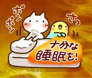 サロンくつろぎ こんばんは(^^)  今日は晴れです。  夕方雨が降りそうな雲が 広がってきたけど降らなかったよ  選挙の投票ついでに スーパーに寄ってきたよ  皆さんは投票いかれましたか 僕は自民公明の与党以外に入れてきたよ 政局は、どうなるかな😄  さぁ今夜もこれでお休みなさい( ˘ω˘)ｽﾔｧ~~~