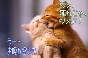 サロンくつろぎ おはよう(^^)  今日も晴れです。  最高気温34度 最低気温25度 の予報です。  しかし連日 暑いですね  買ってきたアイスが すぐ溶けちゃうよ😂  少し寝不足気味 1日もつかな😞  さぁ今日も1日頑張りましょう。