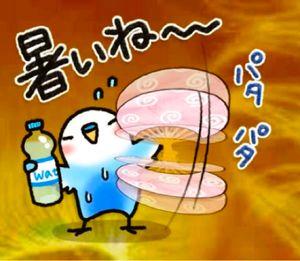 サロンくつろぎ こんばんは(^^)  今日も晴れ  最高気温34度 最低気温26度 の予報でした。  しかし最高気温は36度あったよ 明日は38度の予報だよ  あぁ干からびるよ もう体持たない と思ったが木曜日待望の雨の予報だよ 明日を我慢すれば何とかなるかな😄  さぁ今夜もこれでお休みなさい( ˘ω˘)ｽﾔｧ~~~~
